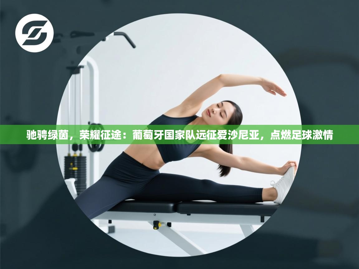 驰骋绿茵，荣耀征途：葡萄牙国家队远征爱沙尼亚，点燃足球激情  第1张