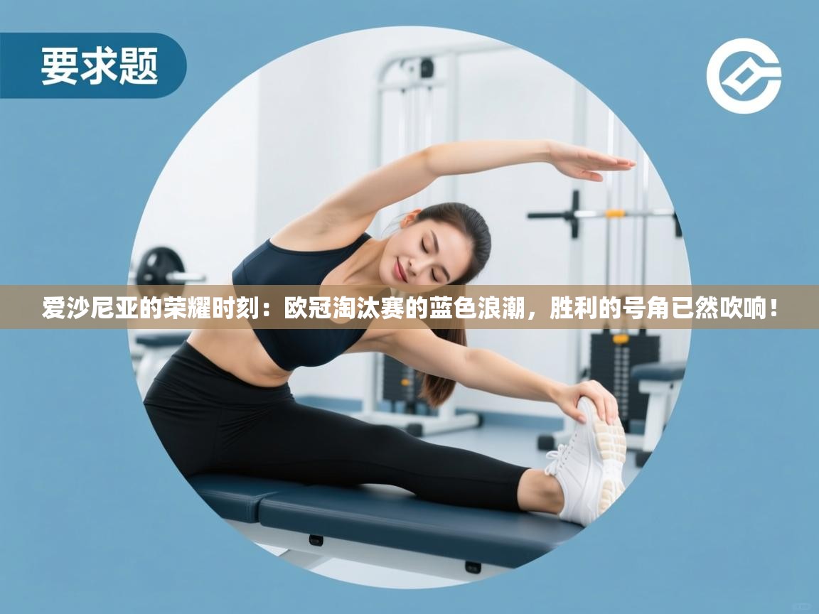 爱沙尼亚的荣耀时刻：欧冠淘汰赛的蓝色浪潮，胜利的号角已然吹响！  第2张